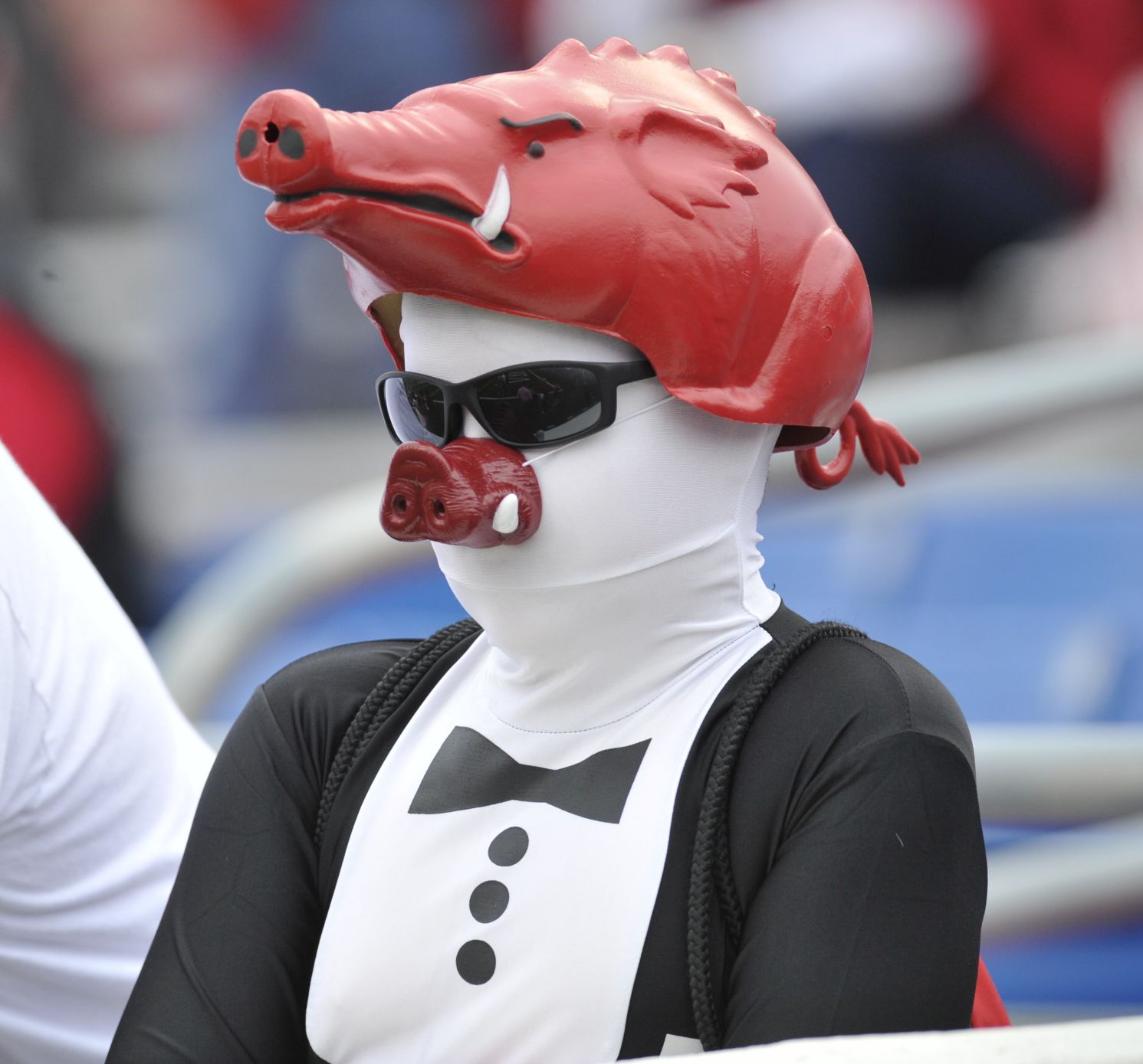 Arkansas Razorbacks